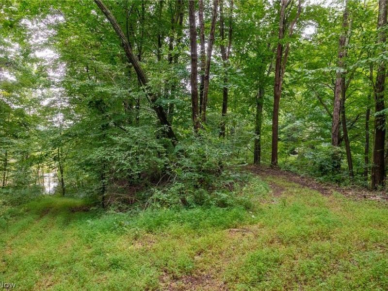Harrons Ridge Road, Dexter City, OH 45727 Photo 32