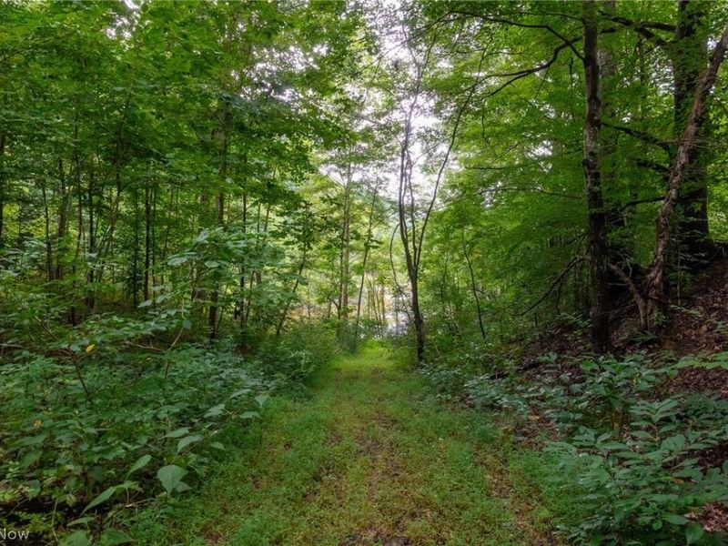 Harrons Ridge Road, Dexter City, OH 45727 Photo 33