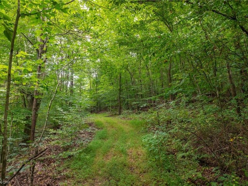 Harrons Ridge Road, Dexter City, OH 45727 Photo 34