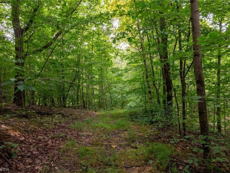 Harrons Ridge Road, Dexter City, OH 45727 Photo 35