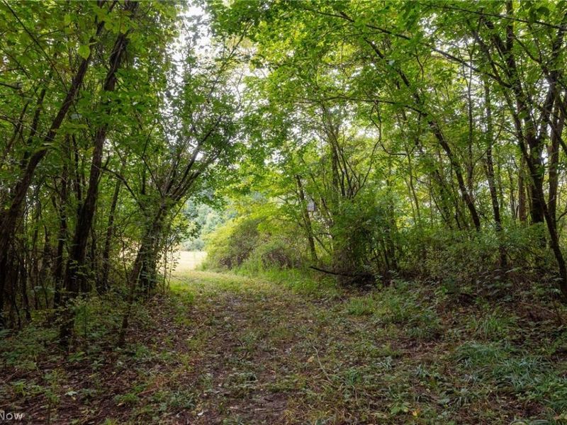 Harrons Ridge Road, Dexter City, OH 45727 Photo 36