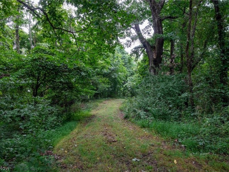 Harrons Ridge Road, Dexter City, OH 45727 Photo 37