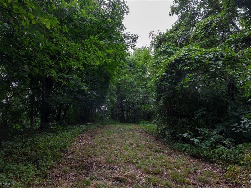 Harrons Ridge Road, Dexter City, OH 45727 Photo 38