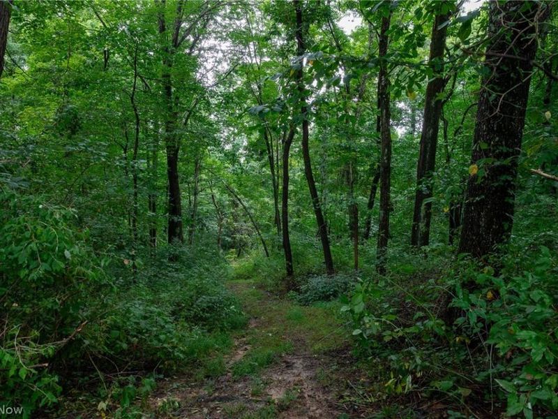 Harrons Ridge Road, Dexter City, OH 45727 Photo 39