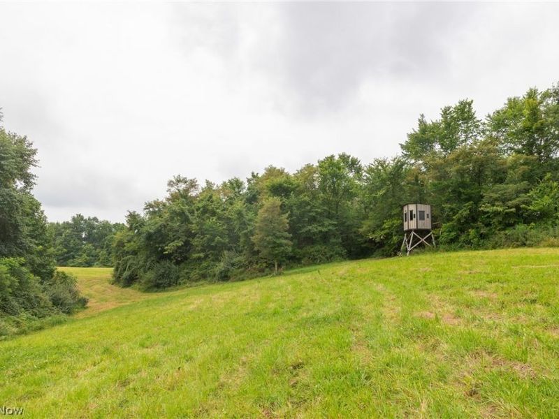 Harrons Ridge Road, Dexter City, OH 45727 Photo 4