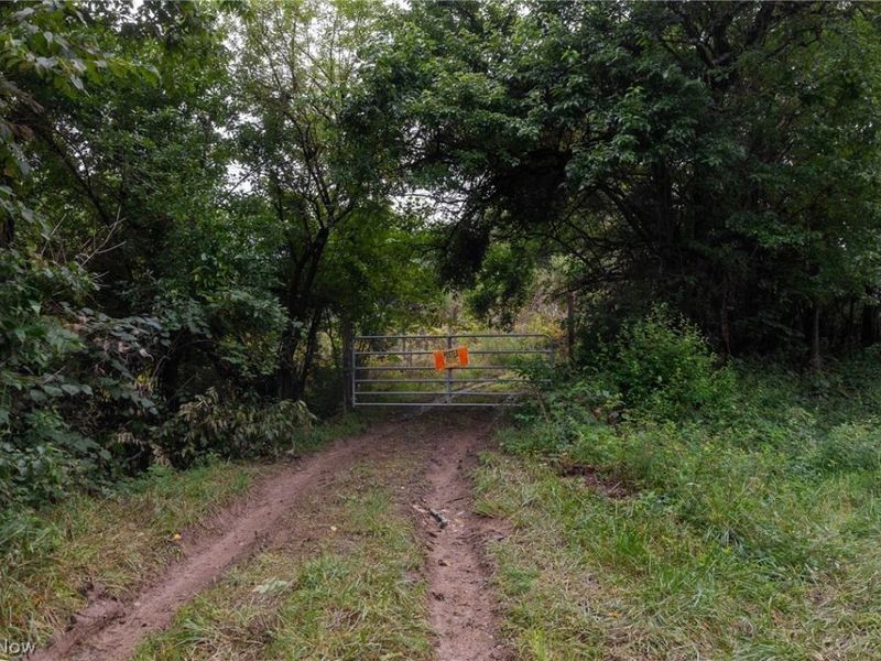 Harrons Ridge Road, Dexter City, OH 45727 Photo 40