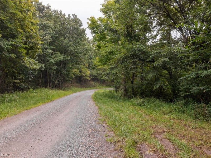 Harrons Ridge Road, Dexter City, OH 45727 Photo 41