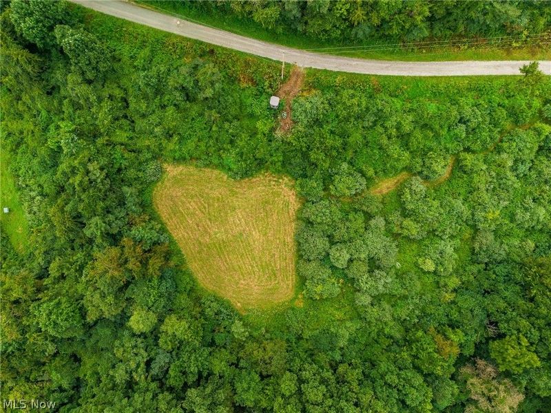 Harrons Ridge Road, Dexter City, OH 45727 Photo 42