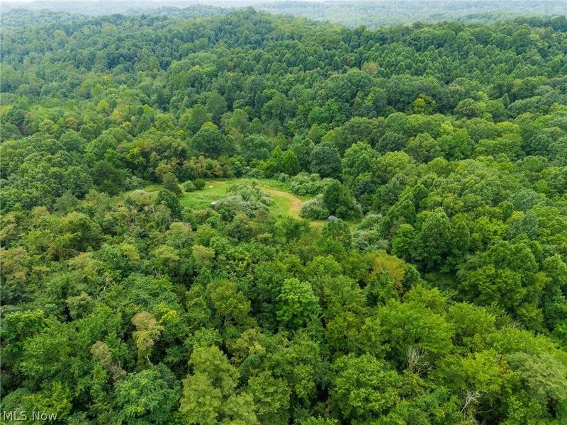 Harrons Ridge Road, Dexter City, OH 45727 Photo 44