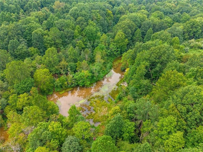 Harrons Ridge Road, Dexter City, OH 45727 Photo 45