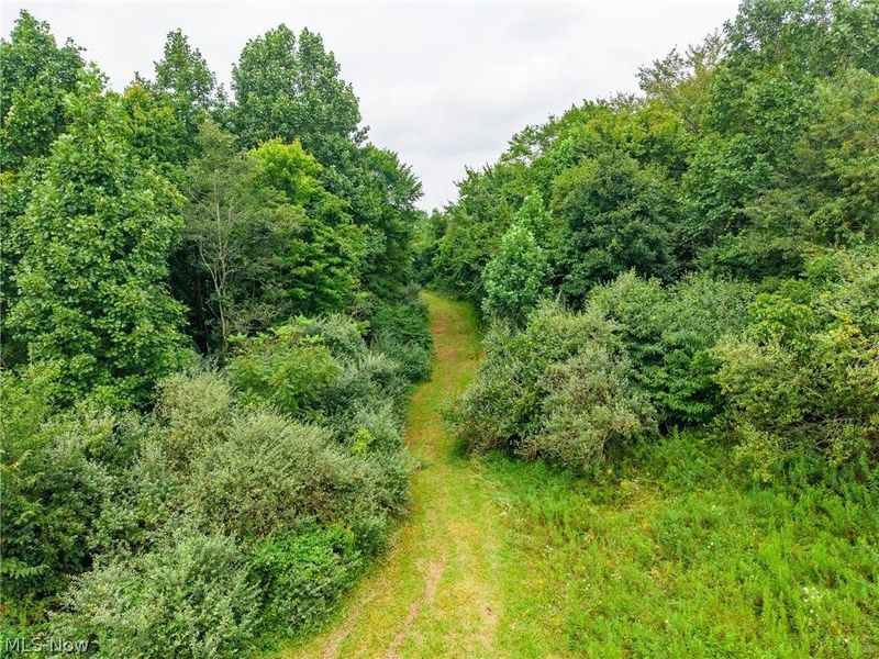 Harrons Ridge Road, Dexter City, OH 45727 Photo 47