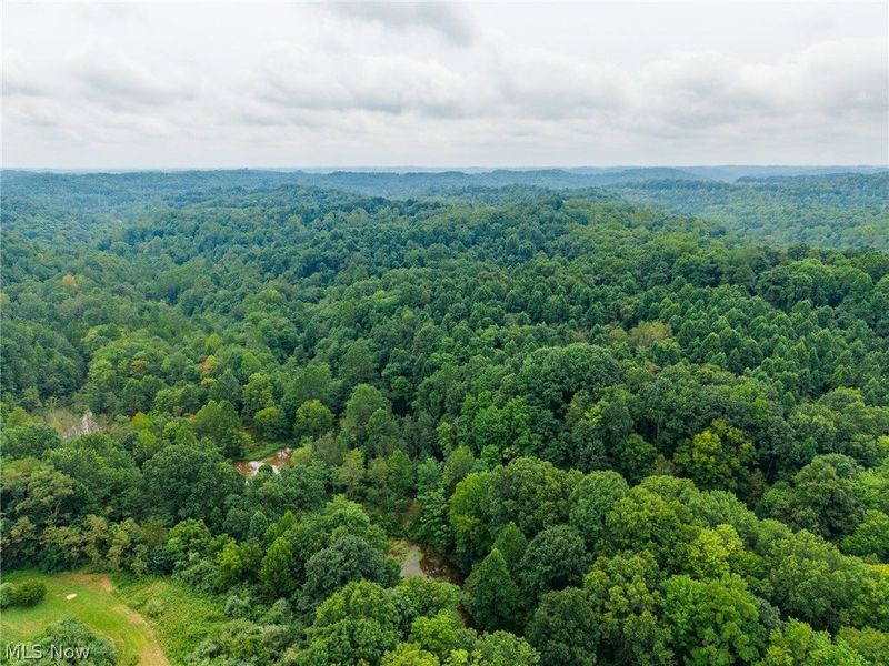 Harrons Ridge Road, Dexter City, OH 45727 Photo 49