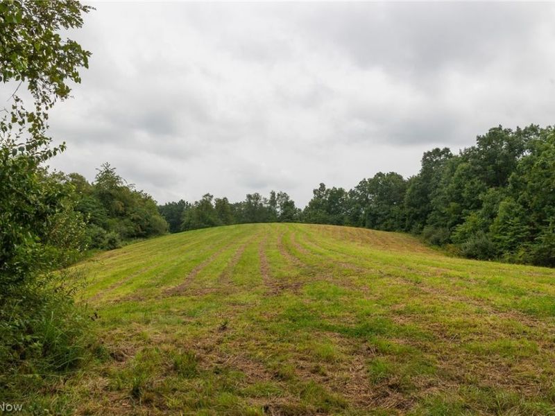 Harrons Ridge Road, Dexter City, OH 45727 Photo 5