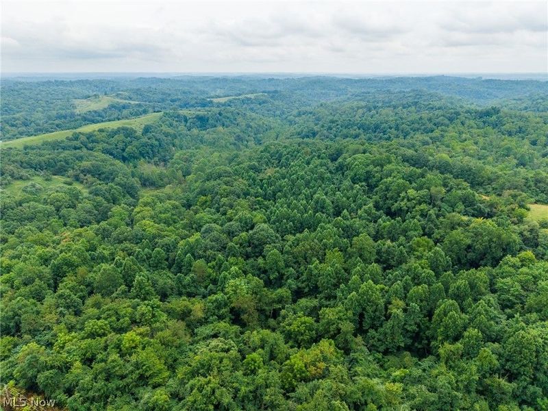 Harrons Ridge Road, Dexter City, OH 45727 Photo 50