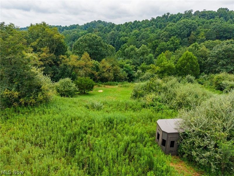 Harrons Ridge Road, Dexter City, OH 45727 Photo 9