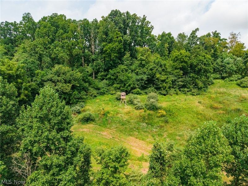 40977 Township Road 64B, Dresden, OH 43821 Photo 11