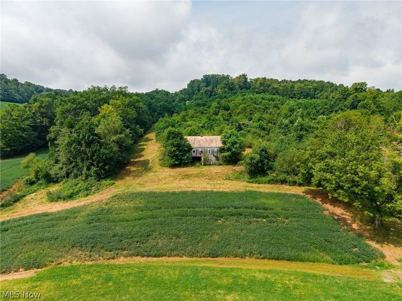 40977 Township Road 64B, Dresden, OH 43821 Photo 12