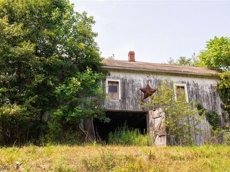 40977 Township Road 64B, Dresden, OH 43821 Photo 13