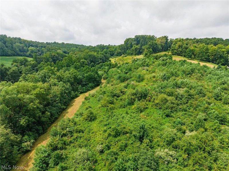 40977 Township Road 64B, Dresden, OH 43821 Photo 15