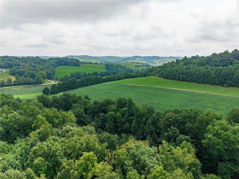 40977 Township Road 64B, Dresden, OH 43821 Photo 16