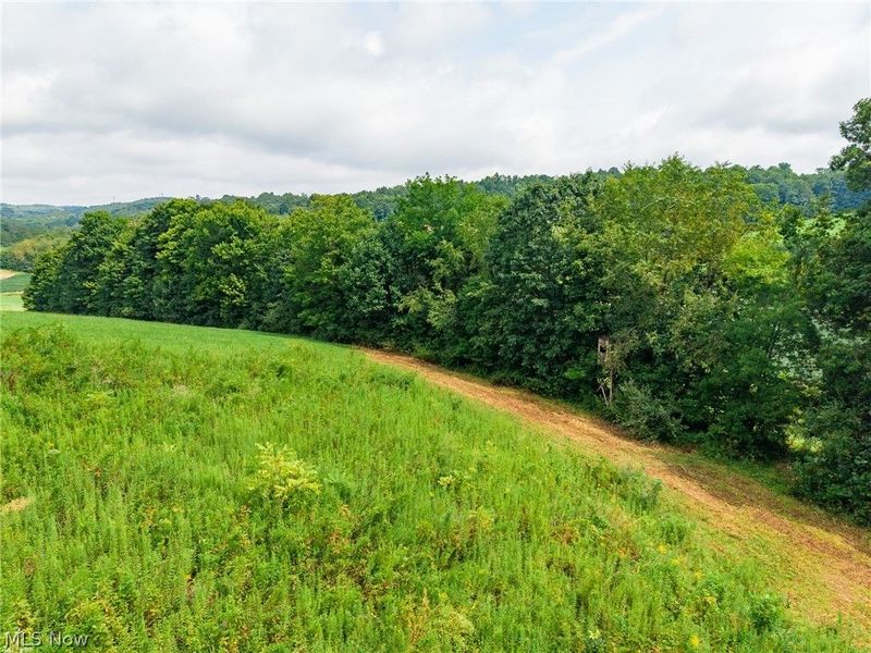 40977 Township Road 64B, Dresden, OH 43821 Photo 19