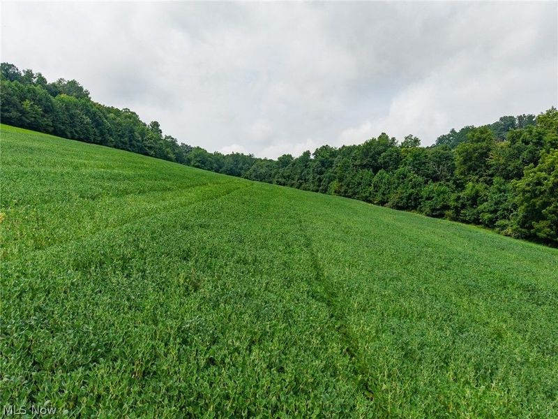 40977 Township Road 64B, Dresden, OH 43821 Photo 20