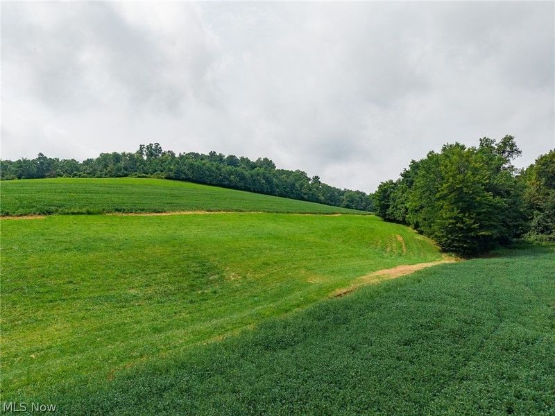 40977 Township Road 64B, Dresden, OH 43821 Photo 22