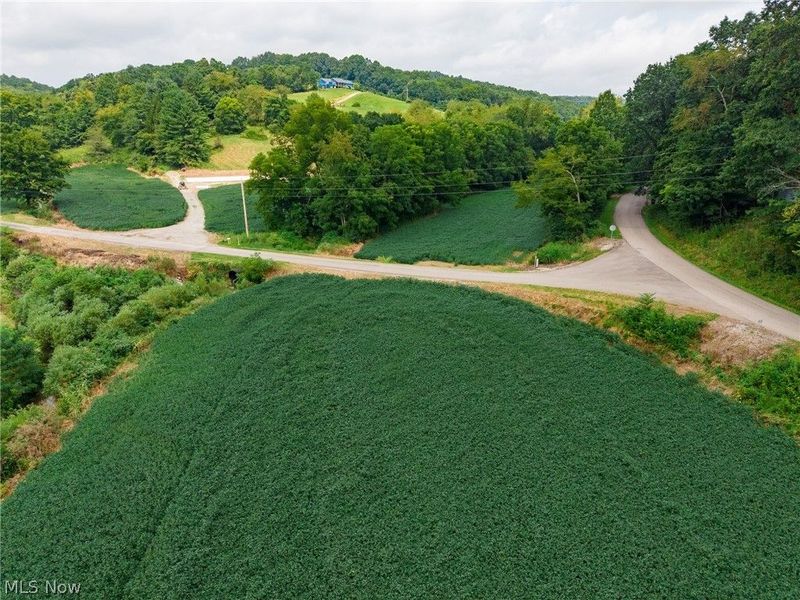 40977 Township Road 64B, Dresden, OH 43821 Photo 24