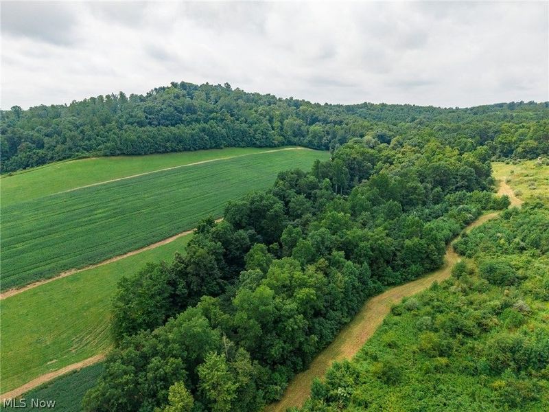 40977 Township Road 64B, Dresden, OH 43821 Photo 25