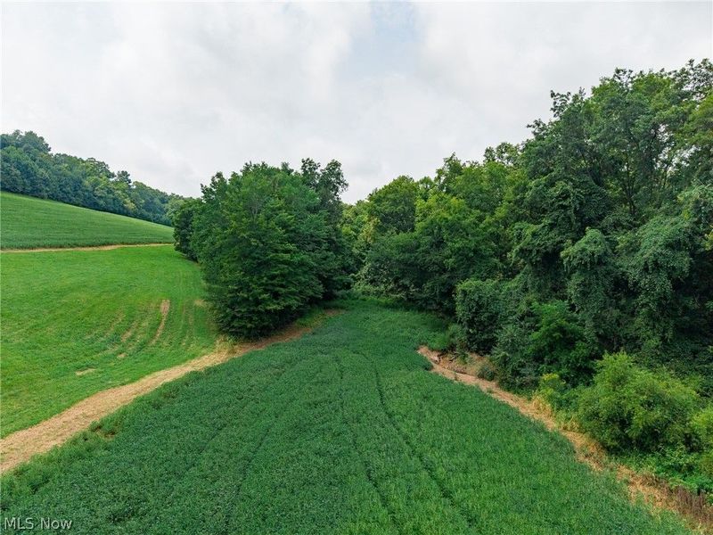 40977 Township Road 64B, Dresden, OH 43821 Photo 32