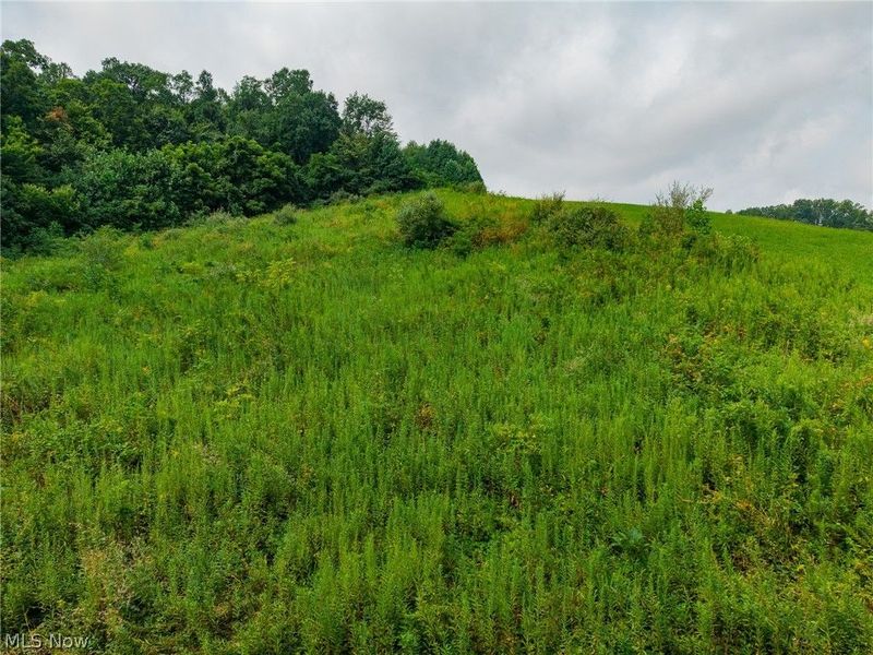 40977 Township Road 64B, Dresden, OH 43821 Photo 37