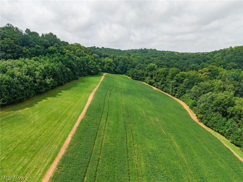 40977 Township Road 64B, Dresden, OH 43821 Photo 38