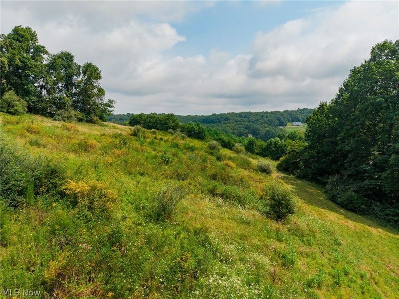 40977 Township Road 64B, Dresden, OH 43821 Photo 43
