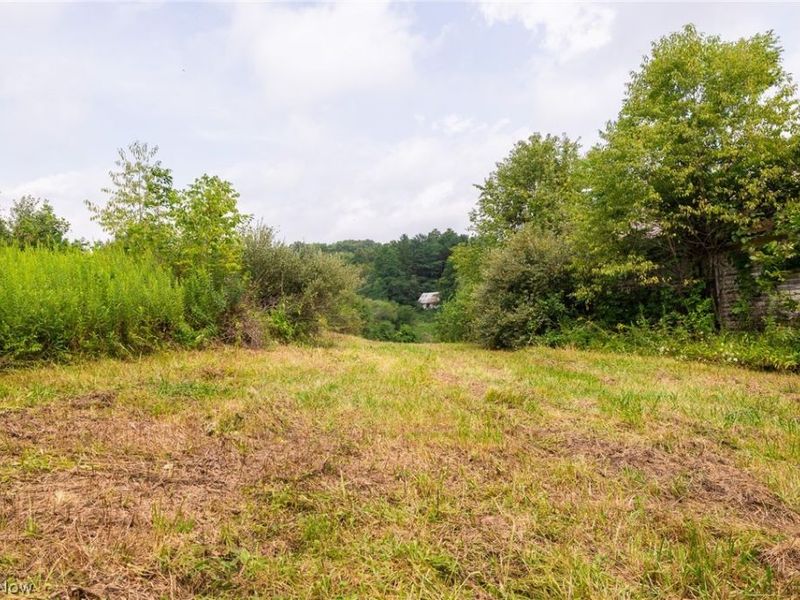 40977 Township Road 64B, Dresden, OH 43821 Photo 48