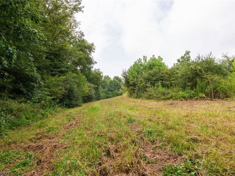 40977 Township Road 64B, Dresden, OH 43821 Photo 49