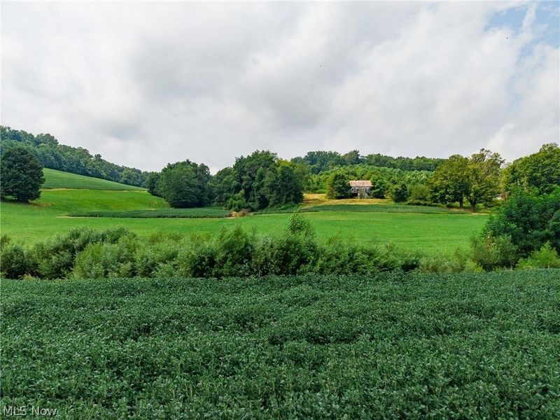 40977 Township Road 64B, Dresden, OH 43821 Photo 7