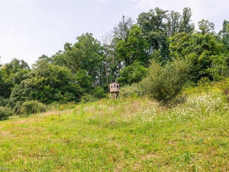 40977 Township Road 64B, Dresden, OH 43821 Photo 9