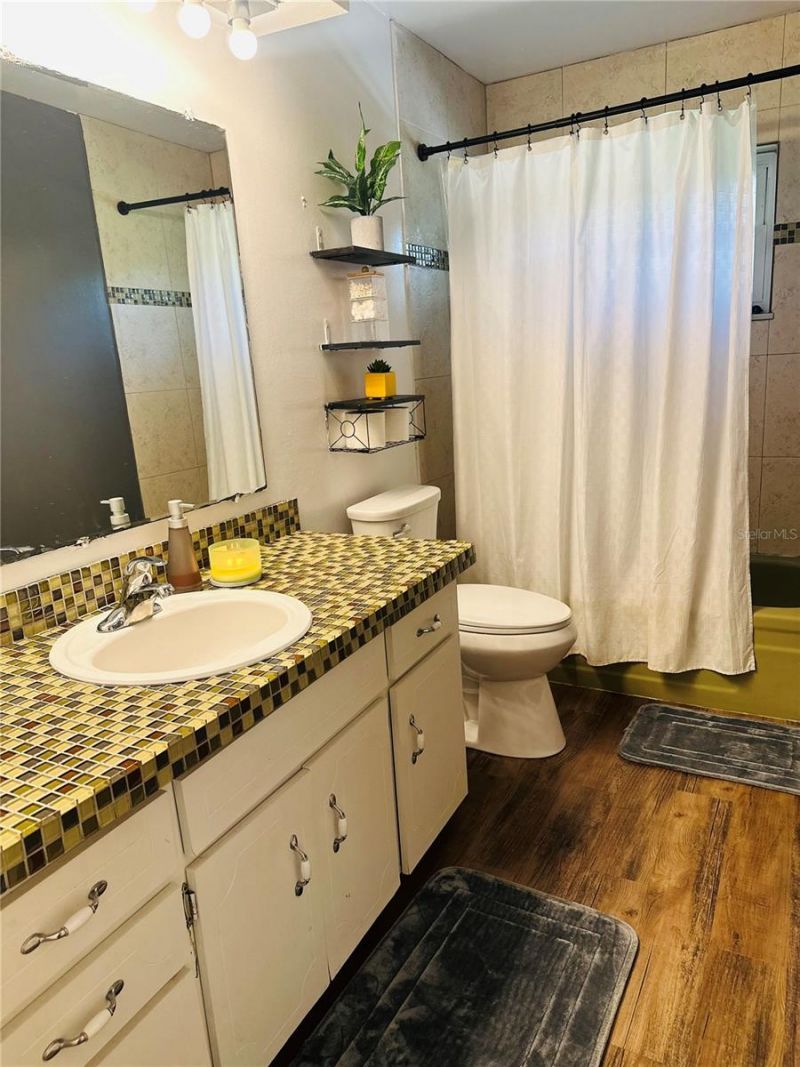 31109 Deal Drive, Mount Plymouth, FL 32776 Photo