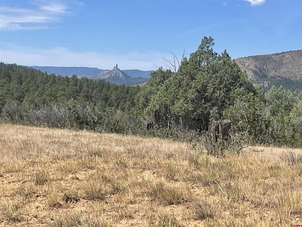 941 975,995 & 1027 Hurt Drive, Pagosa Springs, CO 81147