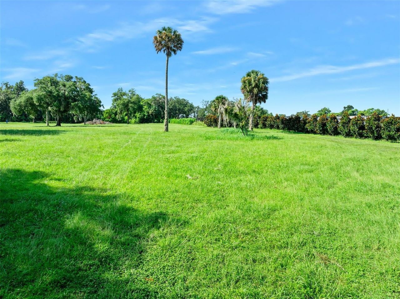 Blackburn Road , Pierson, FL 32180 Photo