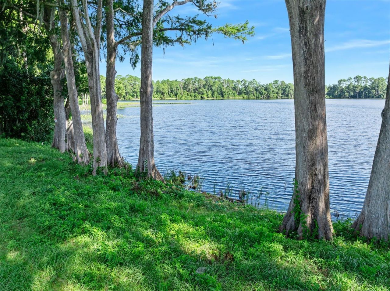 Blackburn Road , Pierson, FL 32180 Photo