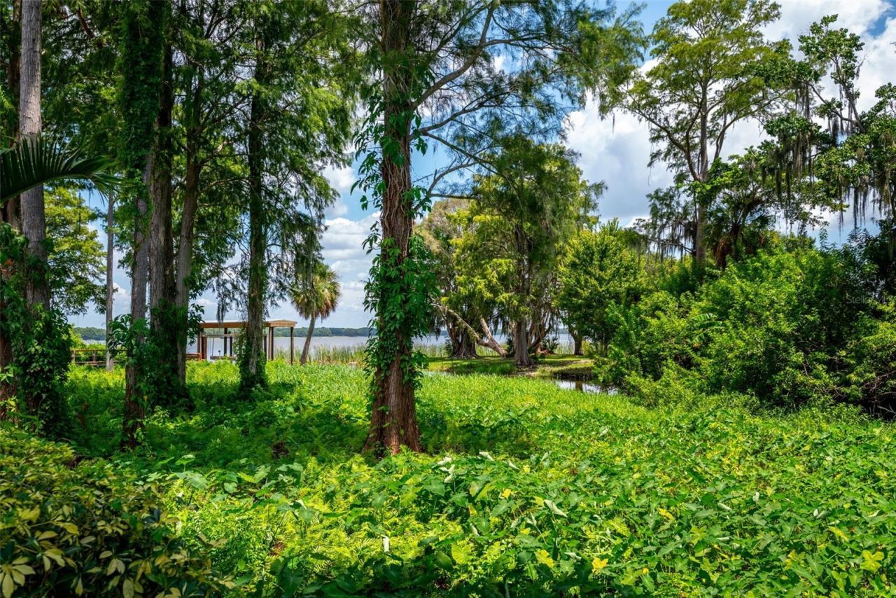2622 Grand Lakeside Drive, Palm Harbor, FL 34684 Photo