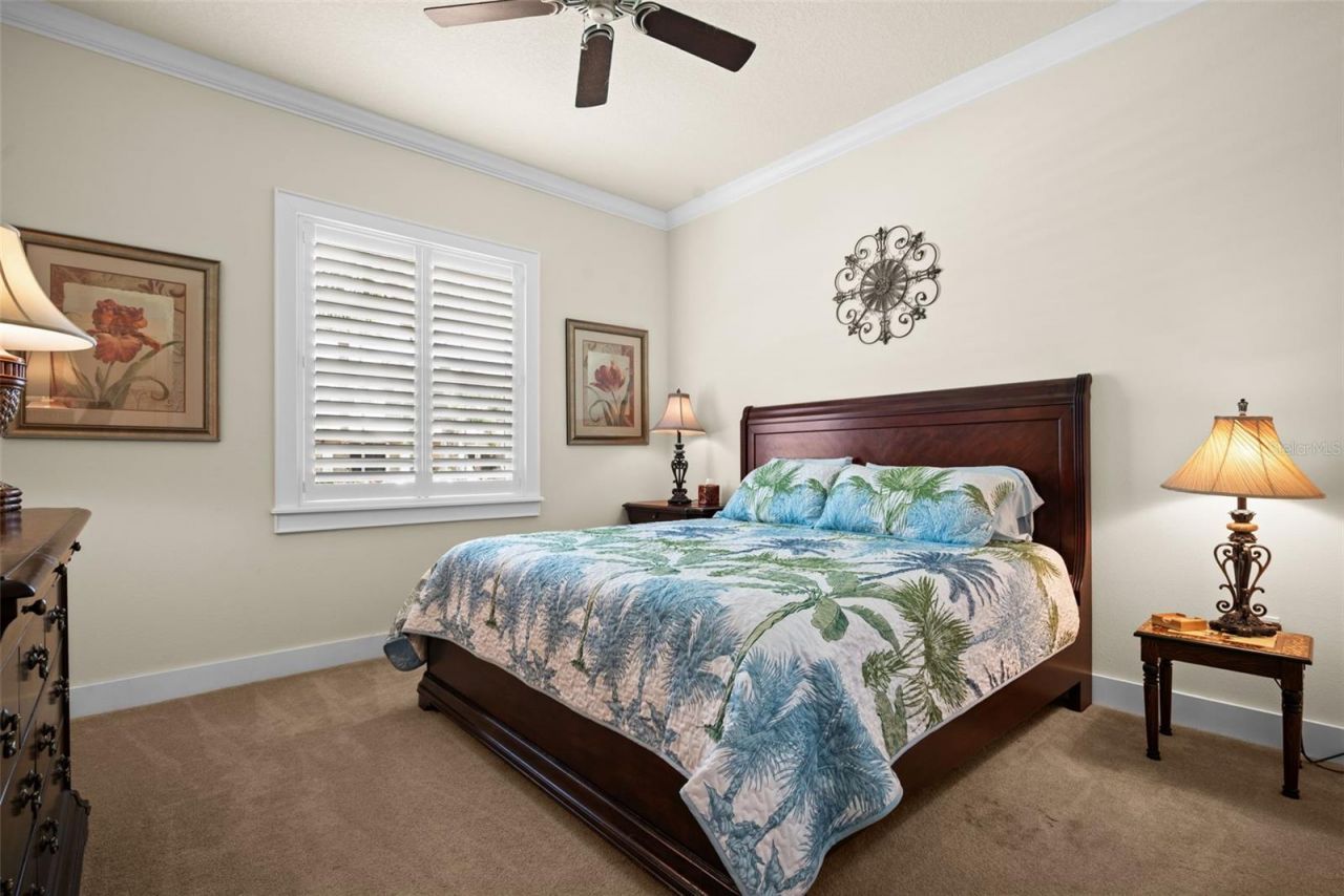 2622 Grand Lakeside Drive, Palm Harbor, FL 34684 Photo