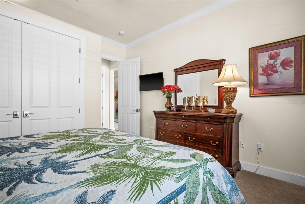 2622 Grand Lakeside Drive, Palm Harbor, FL 34684 Photo