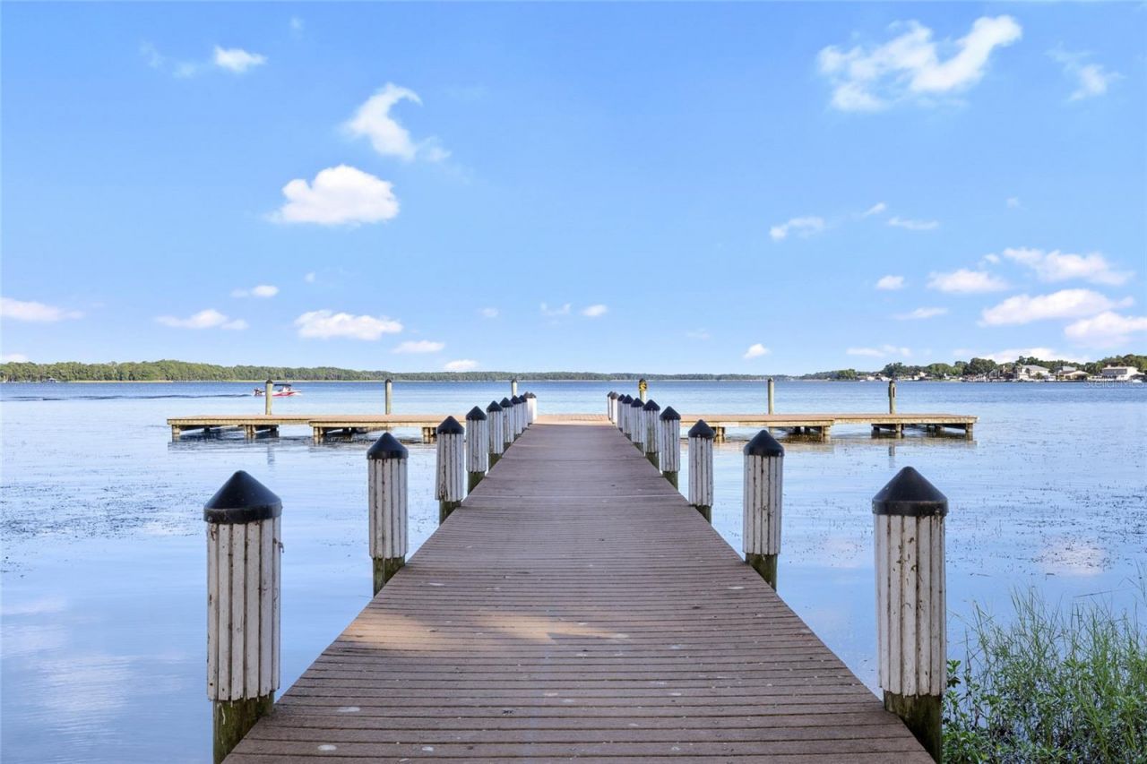 2622 Grand Lakeside Drive, Palm Harbor, FL 34684 Photo