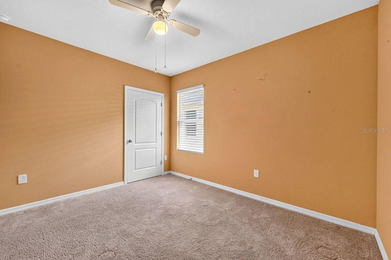 3118 Borassus Drive , New Smyrna Beach, FL 32168 Photo