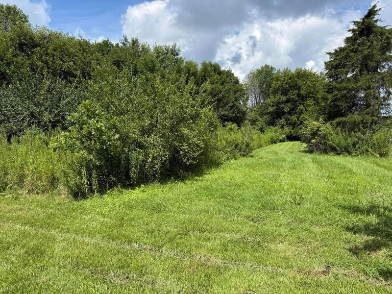 10099 Barger Road SW, Leesburg, OH 45135 Photo 6