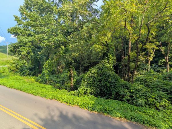 1309 Matthews Hollow Rd, Sevierville, TN 37876