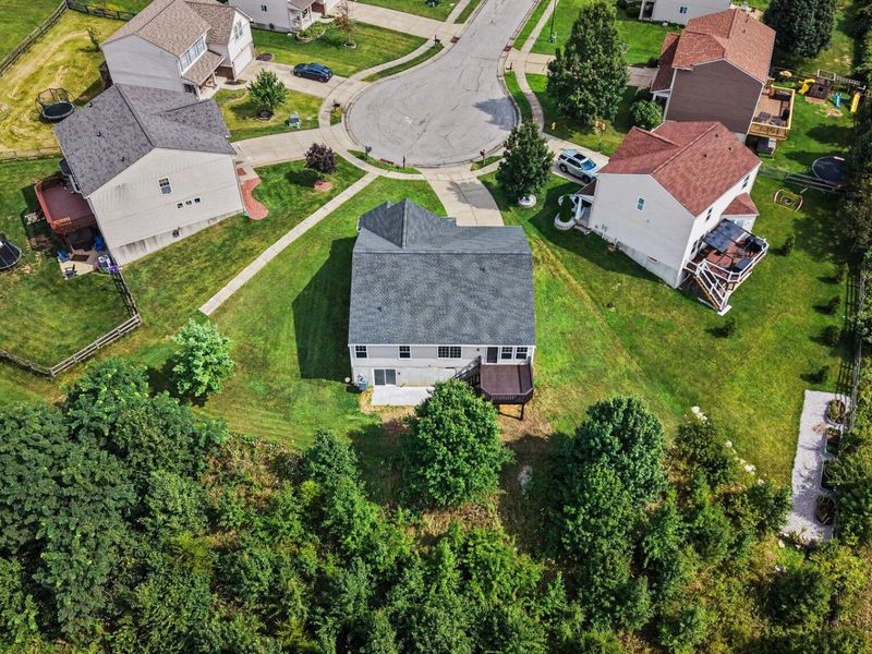 10767 Anna Lane, Independence, KY 41051 Photo 30