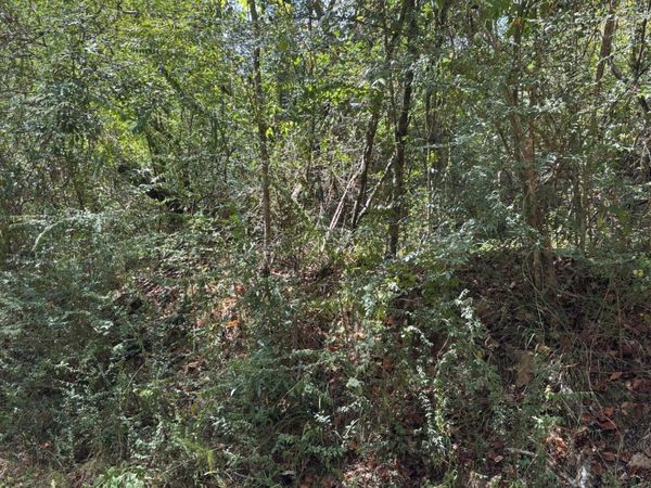 Ms-556, Meadville, MS 39653